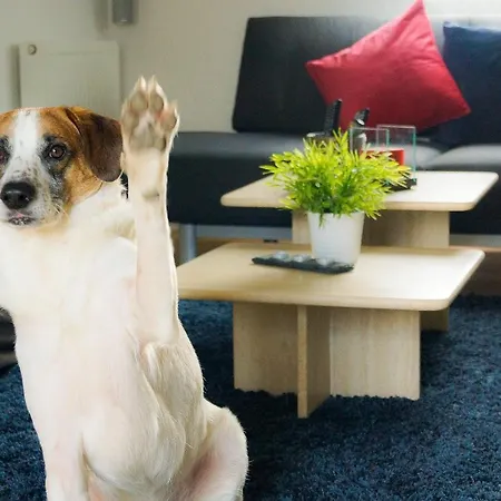 Besondere Spirit Auf Idyllischem Reiterhof Nahe Burg Eltz Apartamento