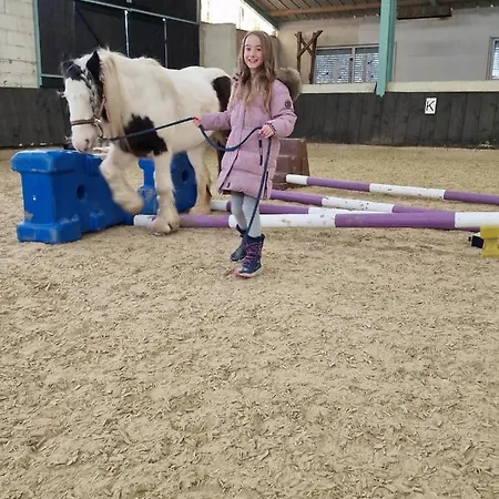 アパート Besondere Spirit Auf Idyllischem Reiterhof Nahe Burg Eltz