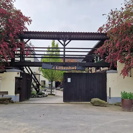 Besondere Spirit Auf Idyllischem Reiterhof Nahe Burg Eltz Apartment Munstermaifeld