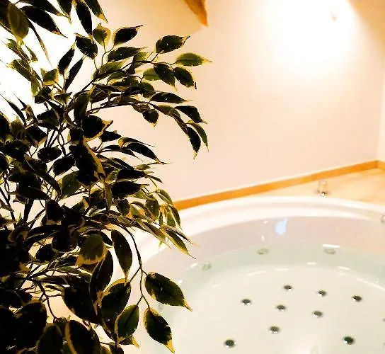 公寓 Besondere Spirit Auf Idyllischem Reiterhof Nahe Burg Eltz