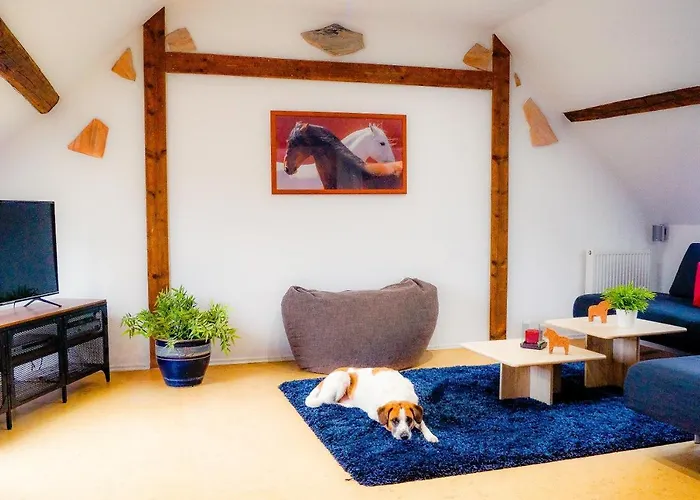 Besondere Spirit Auf Idyllischem Reiterhof Nahe Burg Eltz *