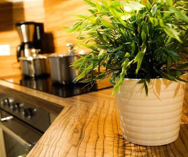 公寓 Besondere Spirit Auf Idyllischem Reiterhof Nahe Burg Eltz Münstermaifeld