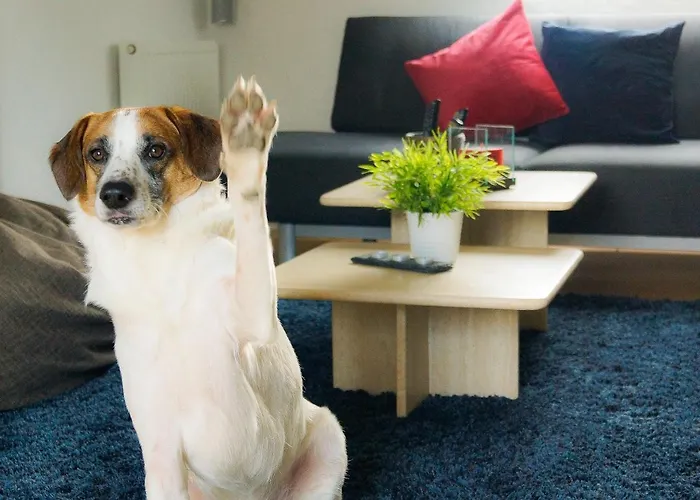 Besondere Spirit Auf Idyllischem Reiterhof Nahe Burg Eltz 公寓