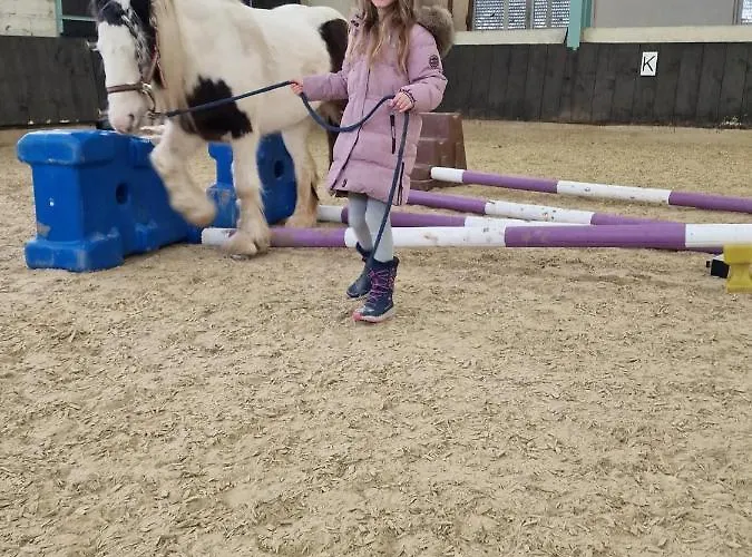公寓 Besondere Spirit Auf Idyllischem Reiterhof Nahe Burg Eltz