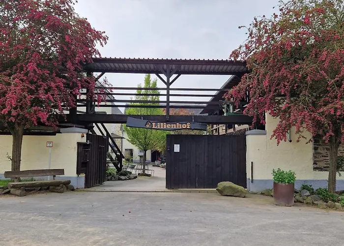 Besondere Spirit Auf Idyllischem Reiterhof Nahe Burg Eltz 公寓 Münstermaifeld